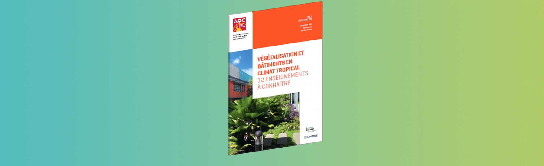 Végétalisation et bâtiments en climat tropical – 12 enseignements à connaître